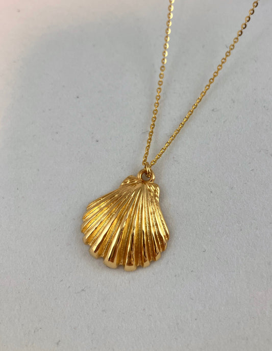 Treasure of The Sea - Shell Necklace